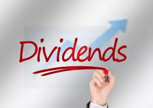 Fidelity Global Dividend