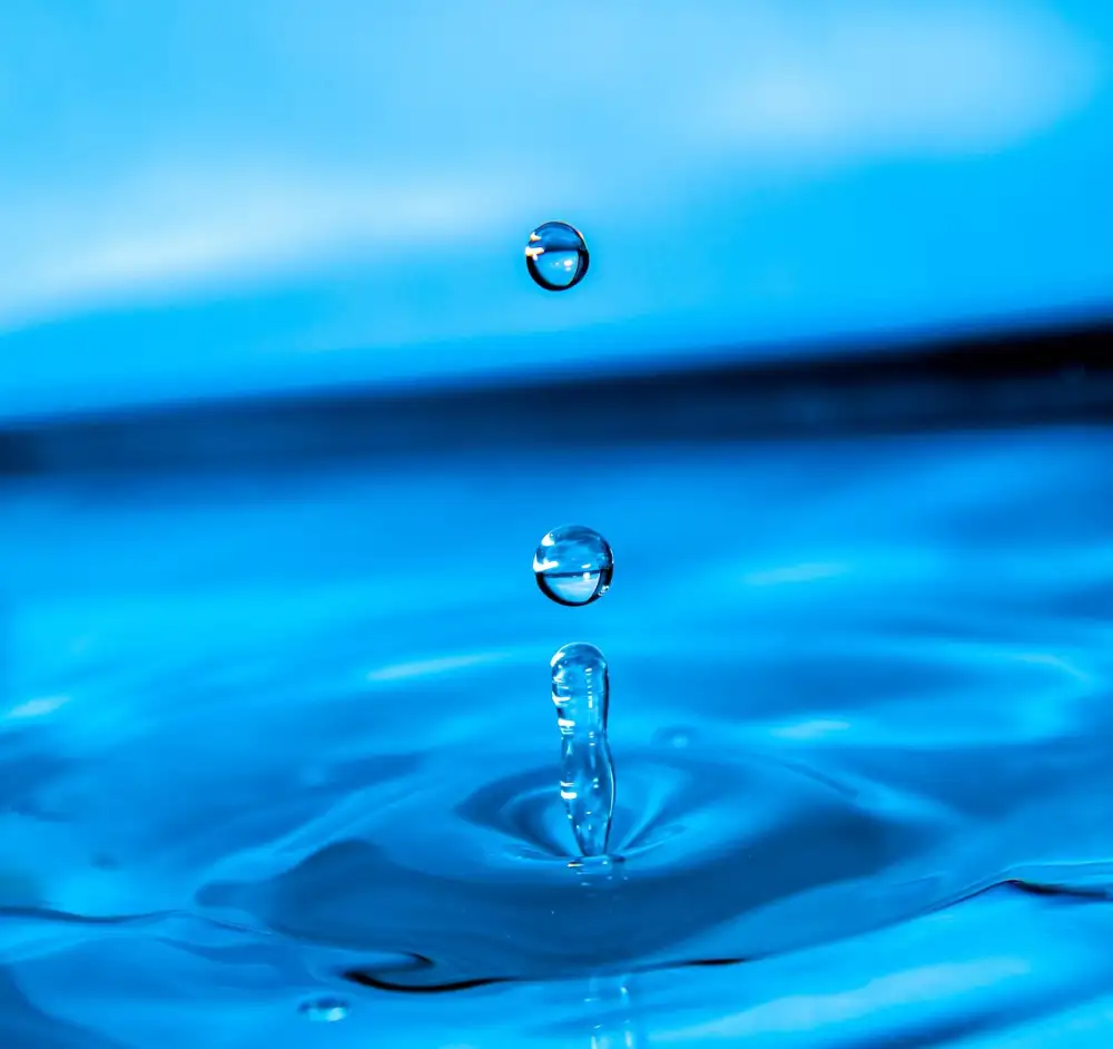 Ripple Budoucnost