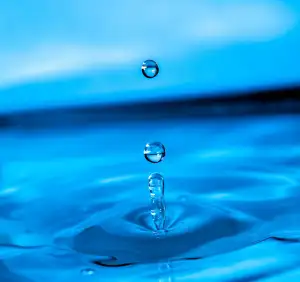 Ripple Budoucnost
